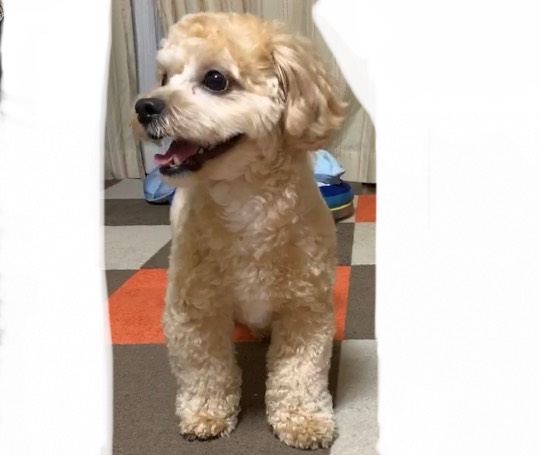 生き物ルーム第23