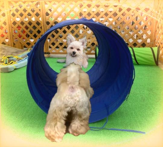 生き物ルーム第23