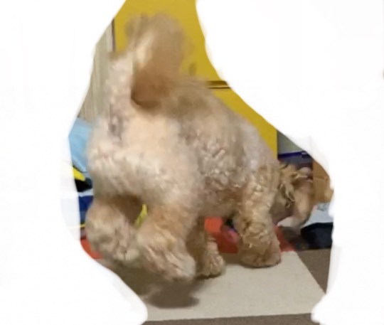 生き物ルーム第23