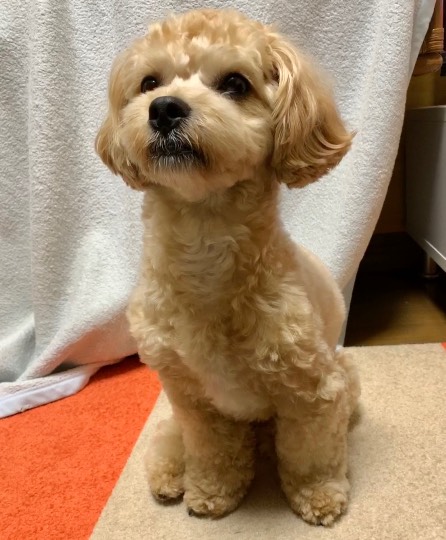 生き物ルーム第23