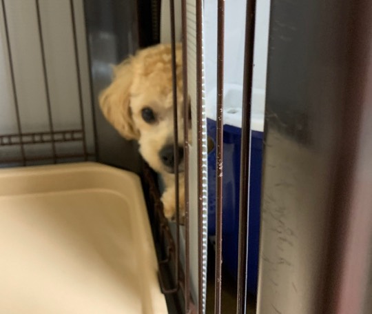 生き物ルーム第22