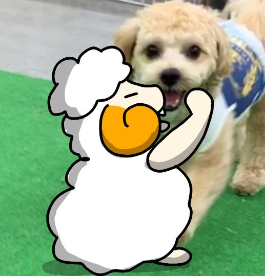 生き物ルーム第22