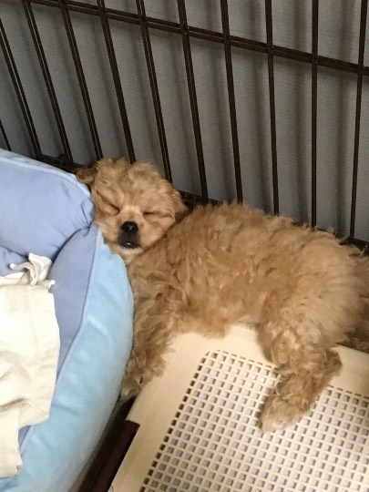 生き物ルーム第23