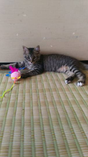 生き物ルーム第22