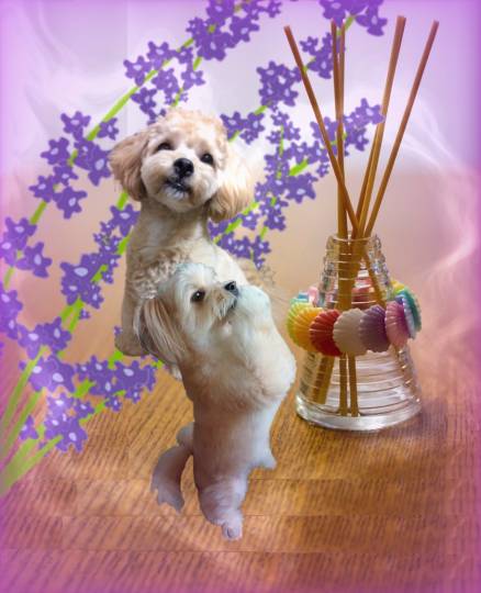 生き物ルーム第23