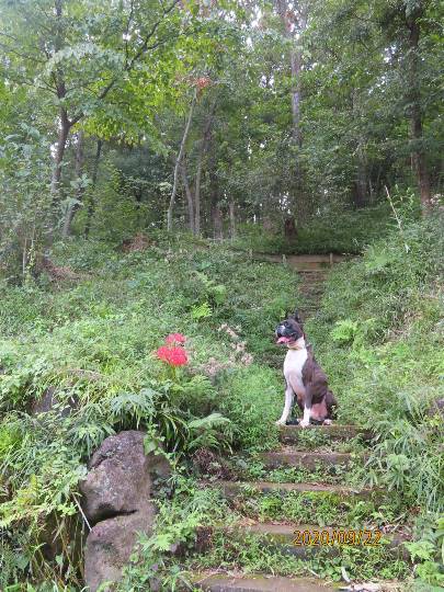 生き物ルーム第23