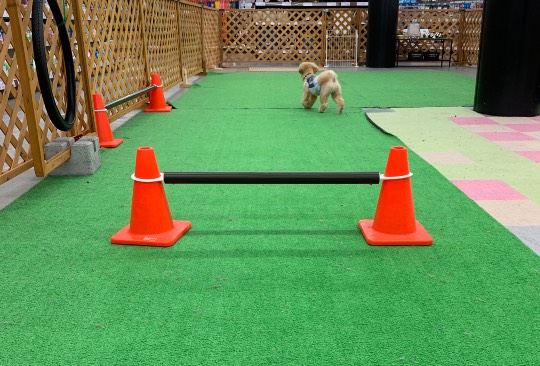 生き物ルーム第23