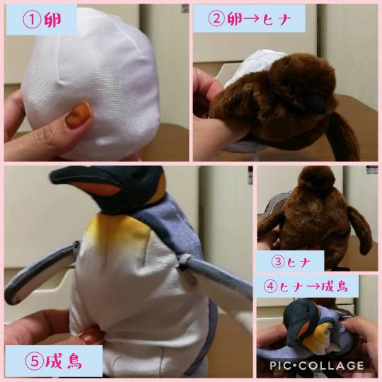 あつまれゲーム好きさんの森Ⅳ〜その他の話もあるでよ〜