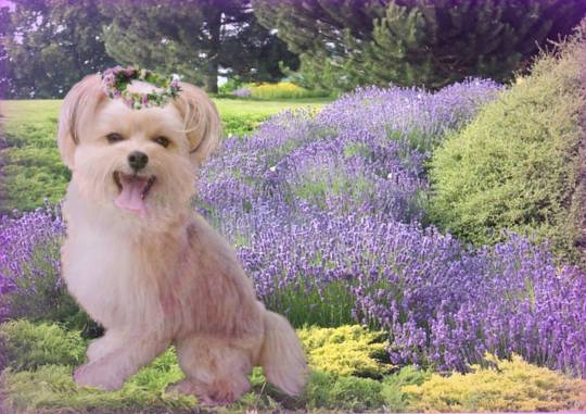 生き物ルーム第23