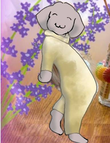 生き物ルーム第23