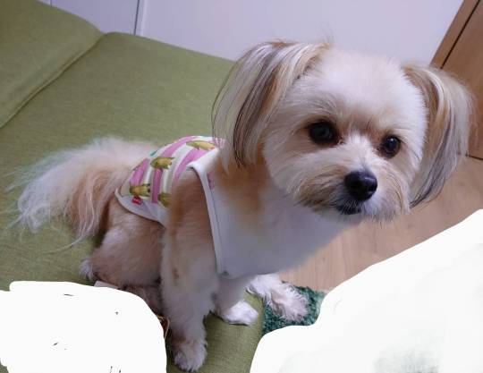 生き物ルーム第22