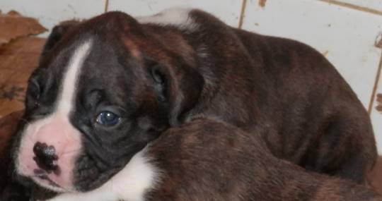 生き物ルーム第23