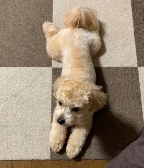 生き物ルーム第23