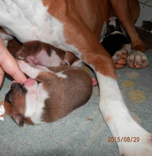 生き物ルーム第23