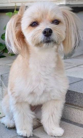 生き物ルーム第23