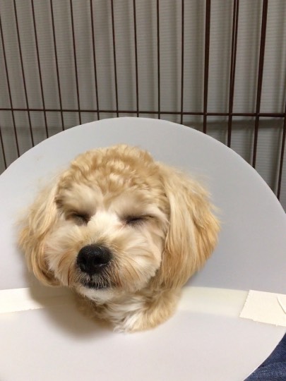 生き物ルーム第22