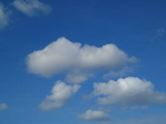 あつまれゲーム好きさんの森Ⅳ〜その他の話もあるでよ〜