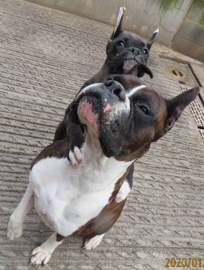 生き物ルーム第23