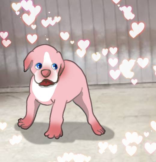 生き物ルーム第23