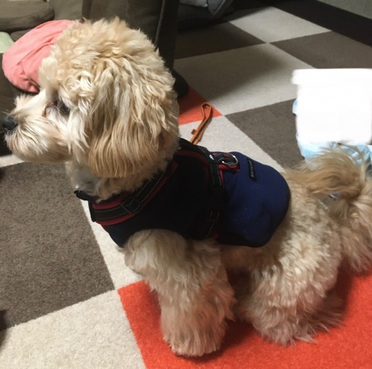 生き物ルーム第22