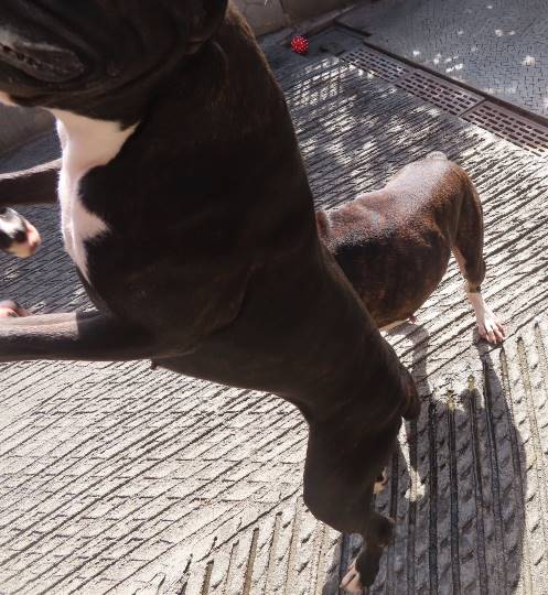 生き物ルーム第23