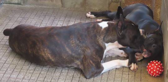 生き物ルーム第23