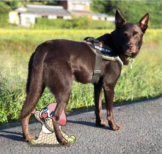 生き物ルーム第23