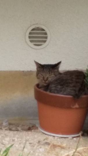 生き物ルーム第22