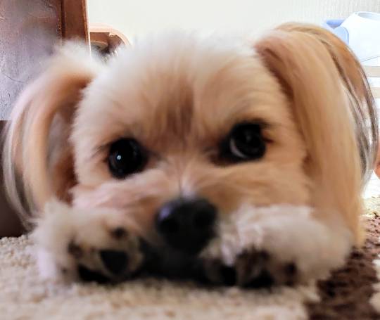 生き物ルーム第22