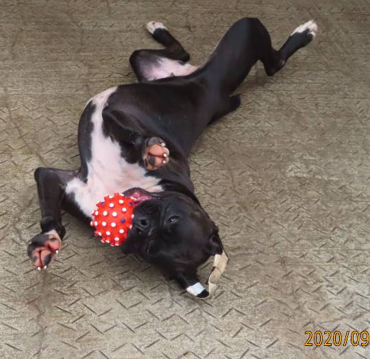 生き物ルーム第23