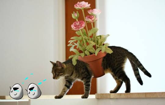 生き物ルーム第22