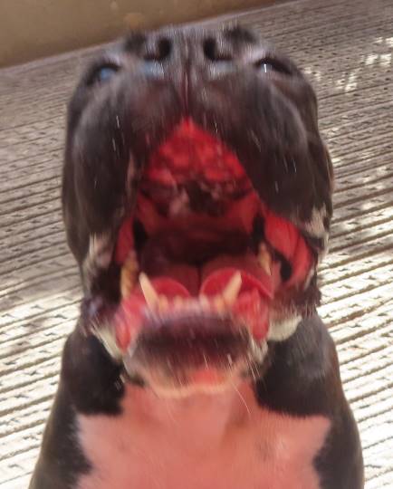 生き物ルーム第22