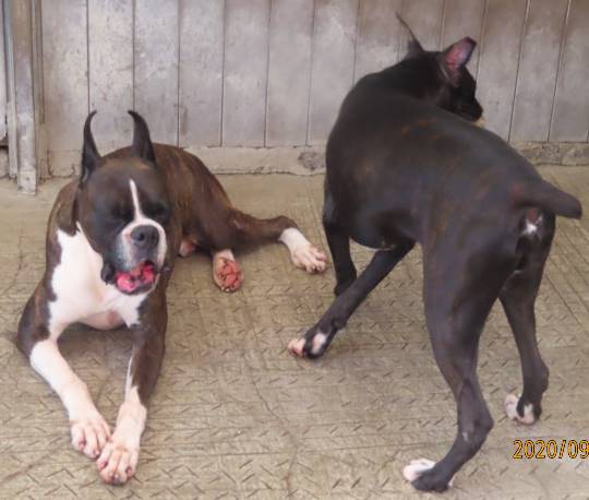 生き物ルーム第22