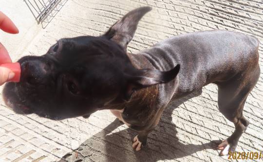 生き物ルーム第22