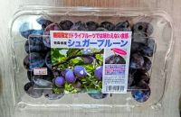 9月17日(木曜日)　中部空港倉庫店｜103棚奥にハリオのフィルターインボトル...