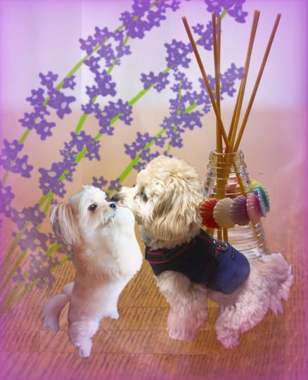 生き物ルーム第23