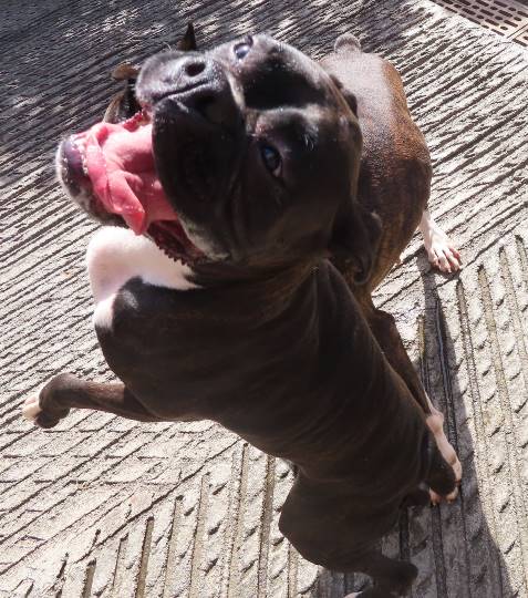 生き物ルーム第23