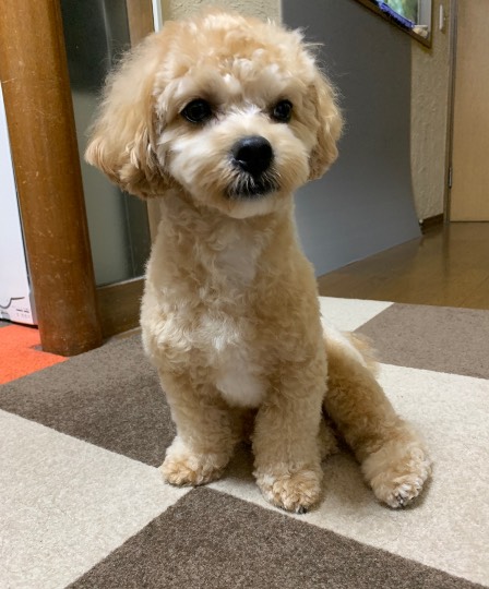 生き物ルーム第23