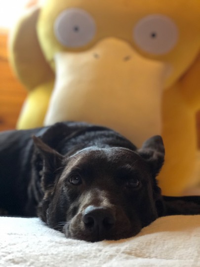 生き物ルーム第22