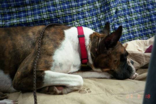 生き物ルーム第23