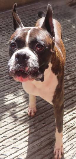 生き物ルーム第22