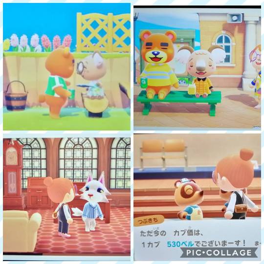 あつまれゲーム好きさんの森Ⅳ〜その他の話もあるでよ〜