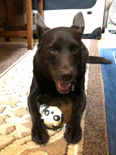 生き物ルーム第22