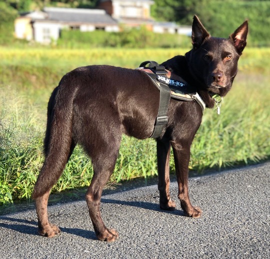 生き物ルーム第23