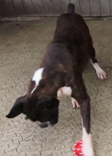 生き物ルーム第23