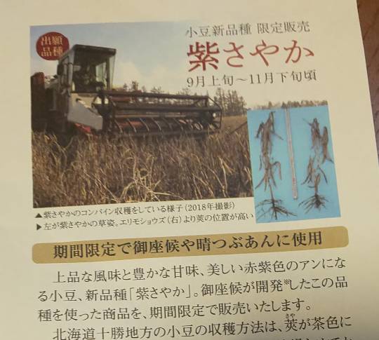 ◆④関西版 雑談◆令和2年6月30日〜 エリア板の続きに、どうぞ♪