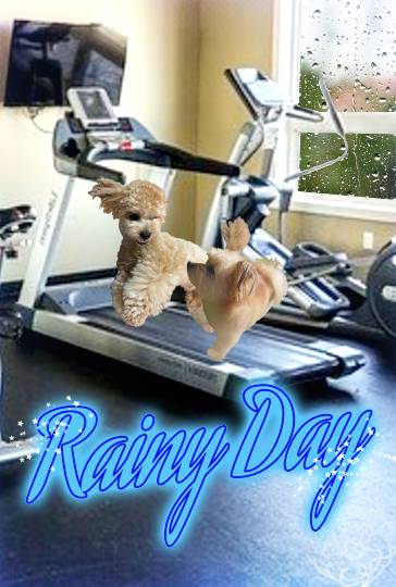 生き物ルーム第23