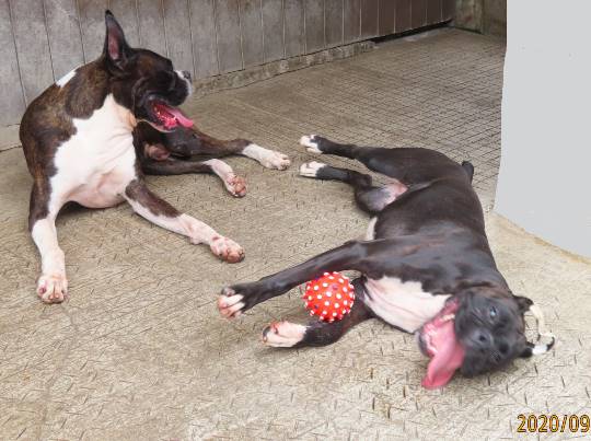 生き物ルーム第23