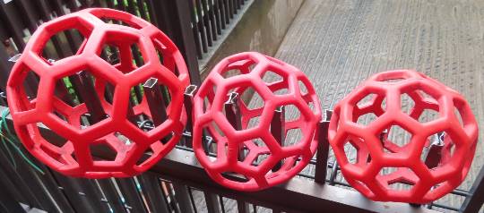 生き物ルーム第23