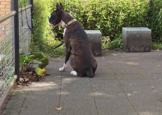 生き物ルーム第23